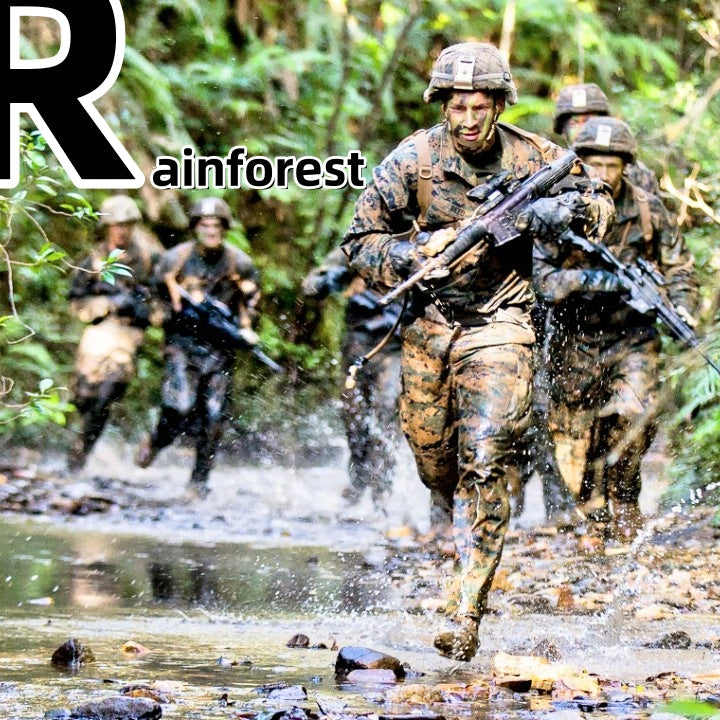 Rainforest